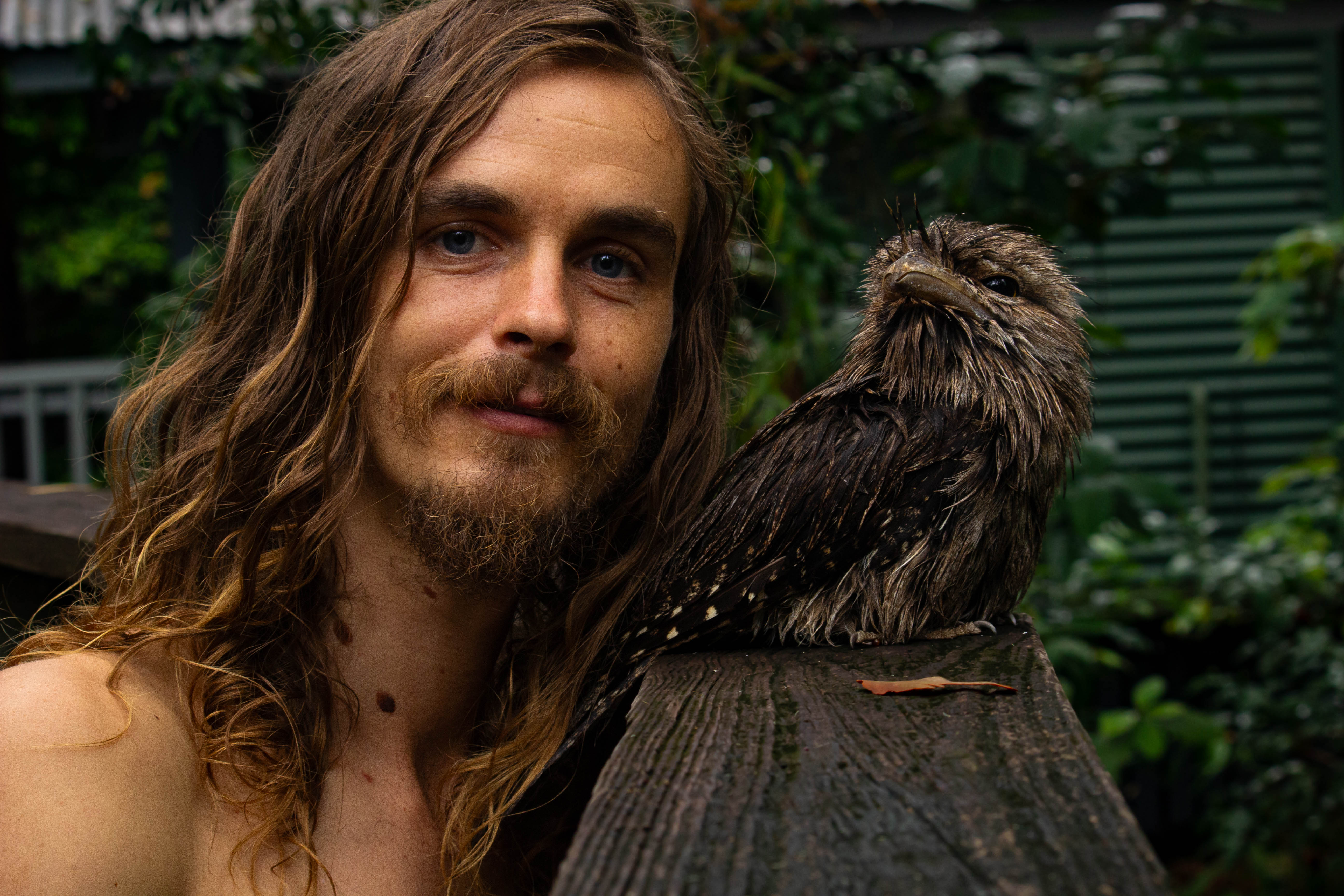 Paul Hyland with a Tawny Frogmouth