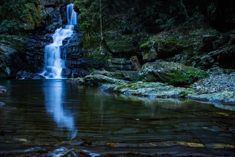 Coachwood Falls — 2