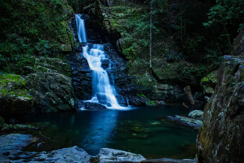 Coachwood Falls