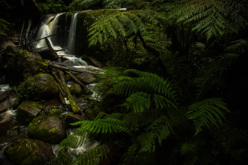 Amphitheatre Falls