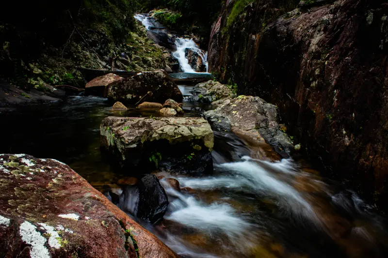 Finch Hatton Gorge — 10