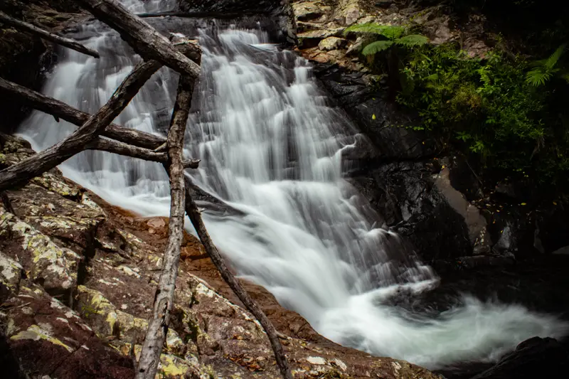 Finch Hatton Gorge — 2