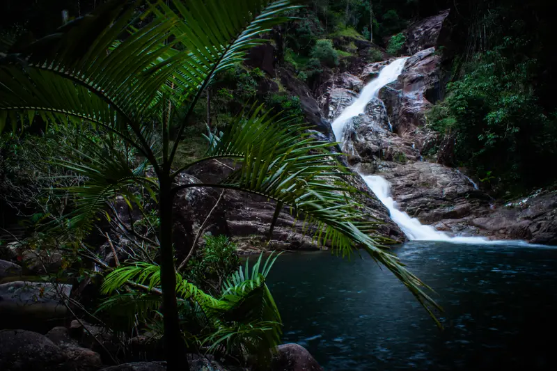 Finch Hatton Gorge — 3