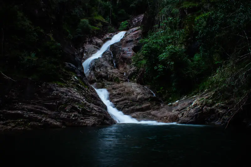 Finch Hatton Gorge — 4