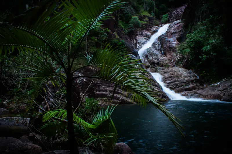 Finch Hatton Gorge — 5