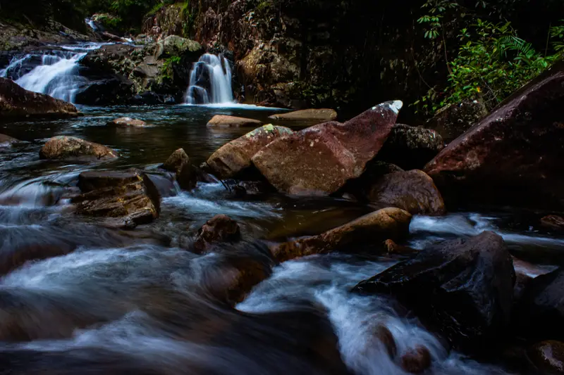 Finch Hatton Gorge — 6