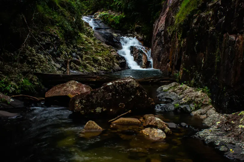 Finch Hatton Gorge — 8