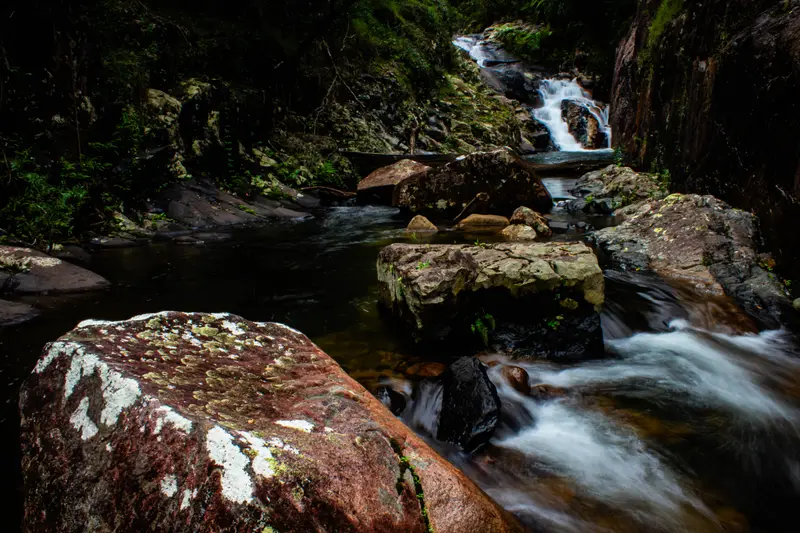 Finch Hatton Gorge — 9