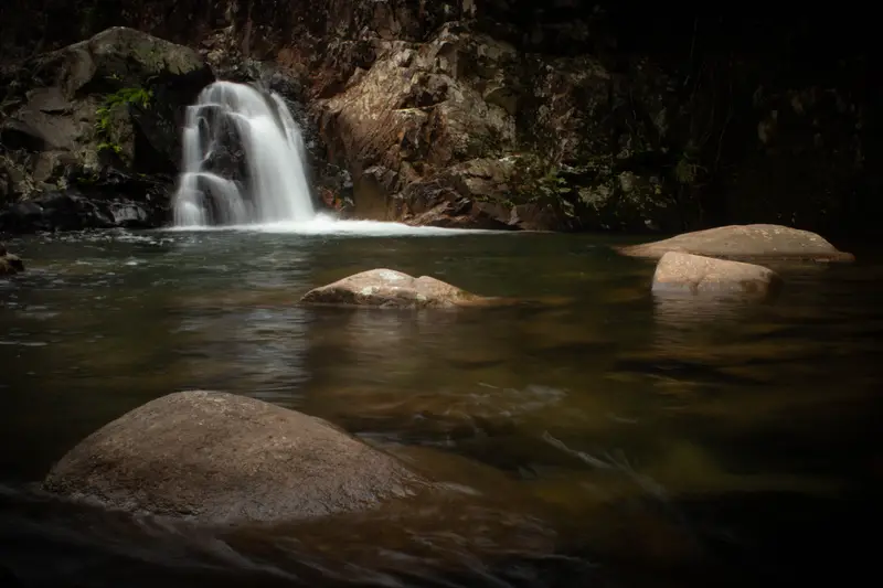 Finch Hatton Gorge — 11