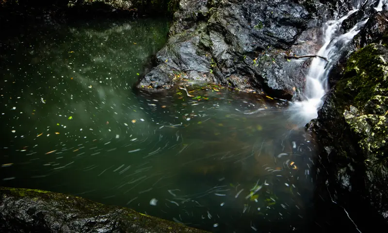 Kondalilla Falls — 2