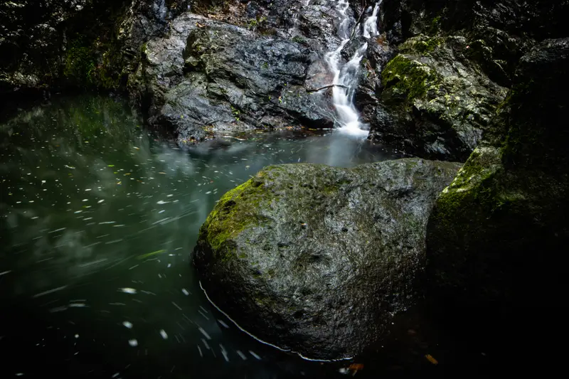 Kondalilla Falls