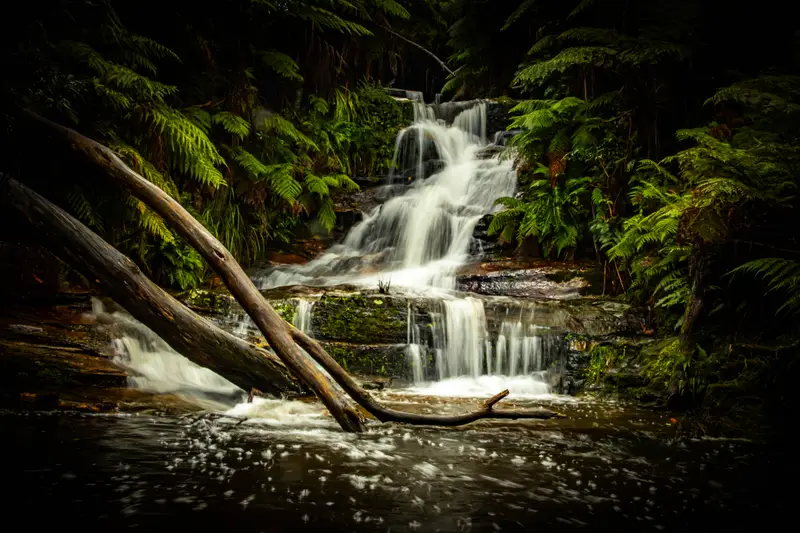Leura