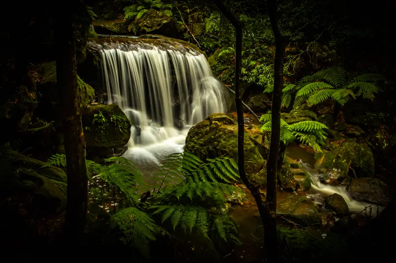 Leura — 7