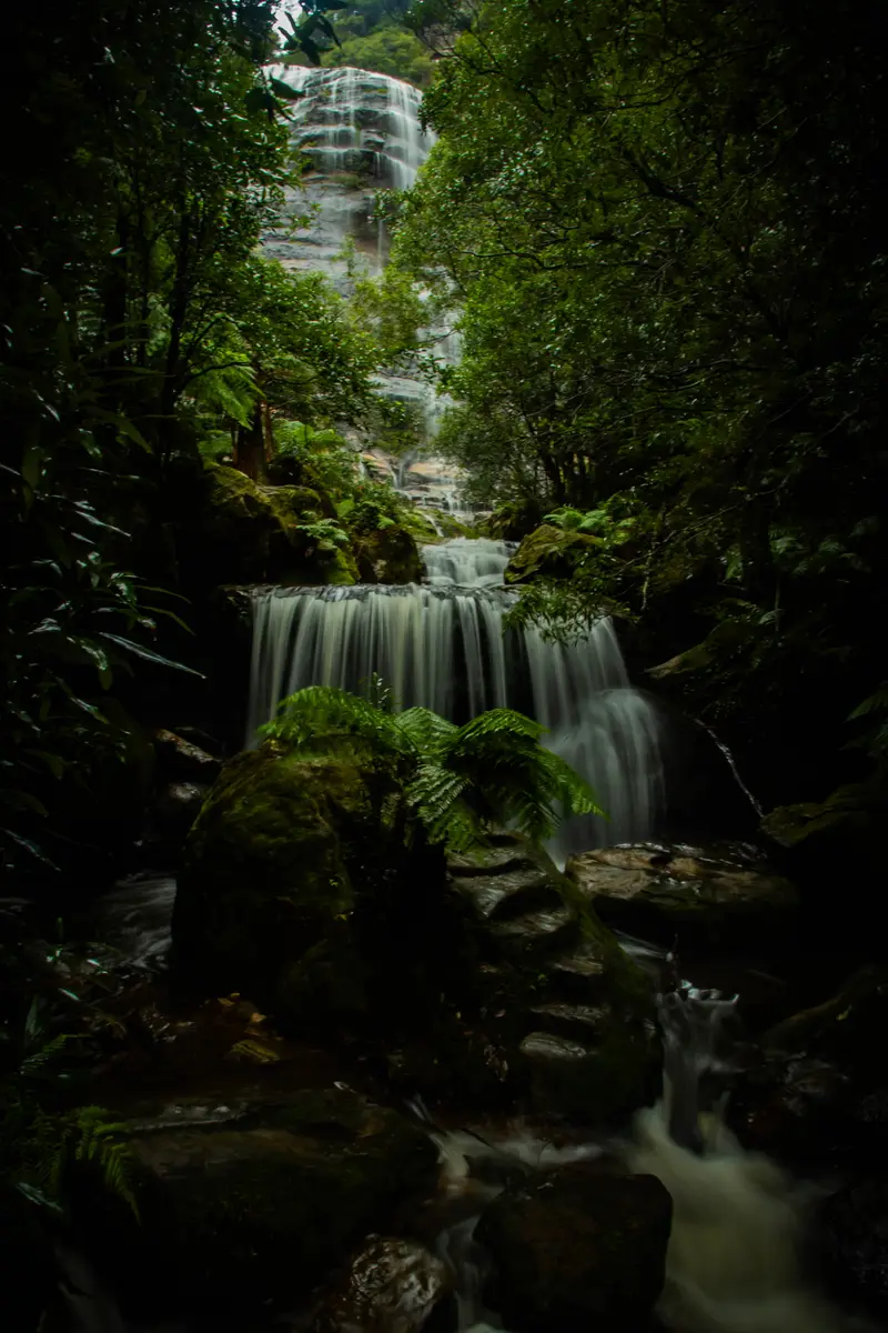 Leura — 8