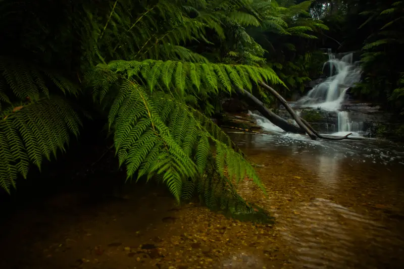Leura — 2