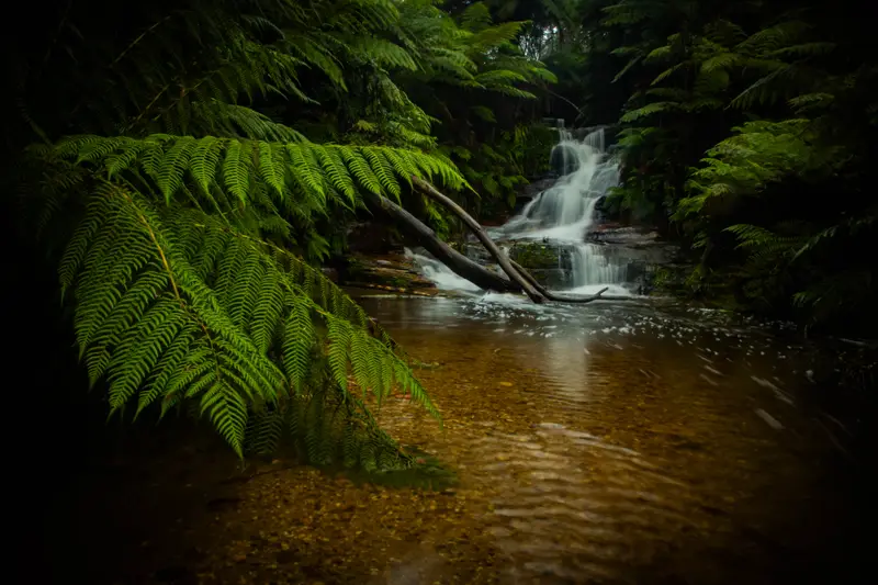 Leura — 3