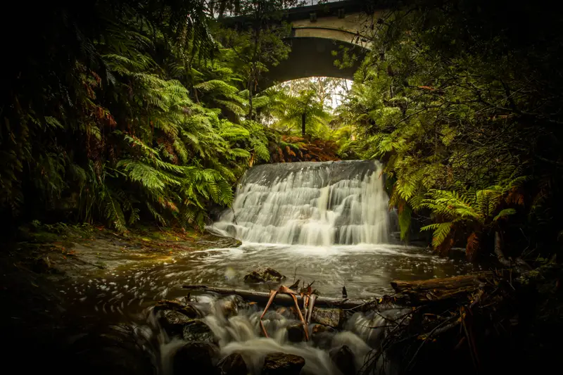 Leura — 6