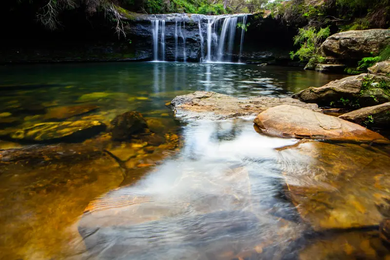 Nellies Glen